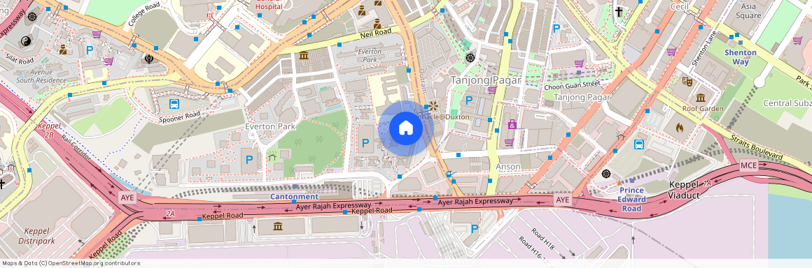 13 Cantonment Close (080013), Singapore