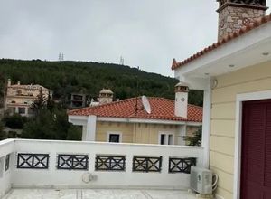 Μονοκατοικία για ενοικίαση - Νέα Ερυθραία, - Φωτογραφία 3