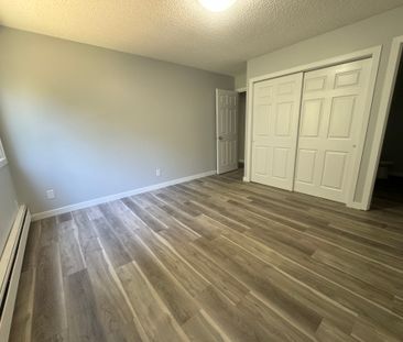 Modern and Spacious 2-Bedroom Apartment - SMALL PET FRIENDLY! - Photo 4