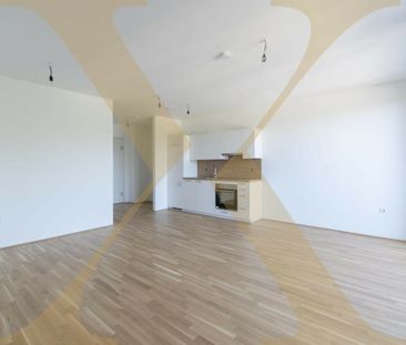 Moderne 1-Zimmer-Wohnung mit Balkon nähe Hummelhofwald in Linz zu v... - Foto 3