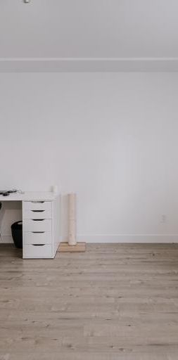 Appartement 4 ½ à louer Limoilou juillet 2026 - Photo 1