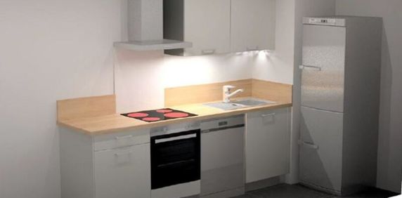 Location Appartement 1 pièce 29m² LA CHAPELLE ST MESMIN 45380 - Photo 2