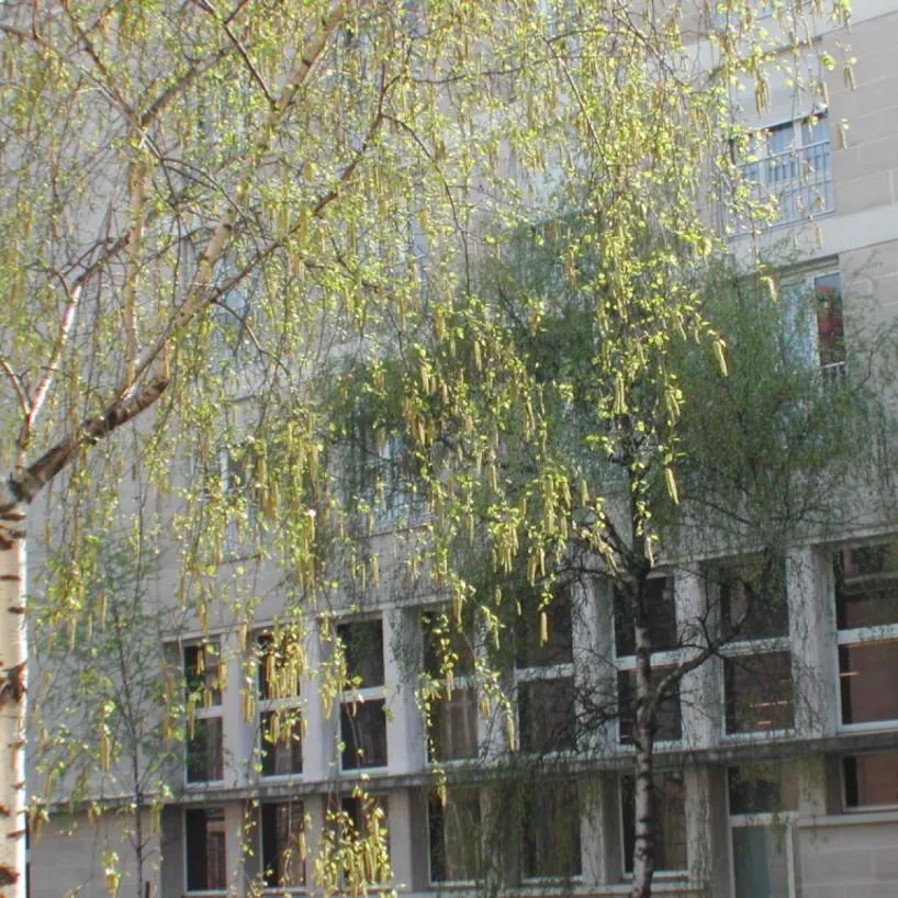 Location appartement T5 110.29m² à Reims (51100) - Photo 2