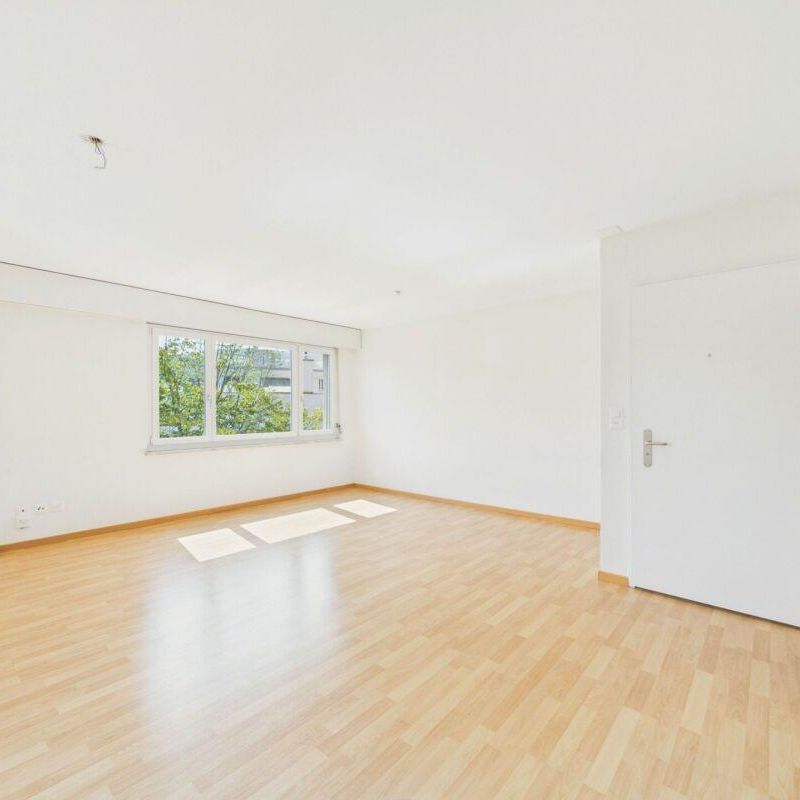 Gemütliche 2-Zimmerwohnung an zentraler Lage in St. Gallen - Foto 1