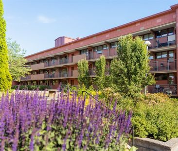 Hyggestråket 1 - Photo 3