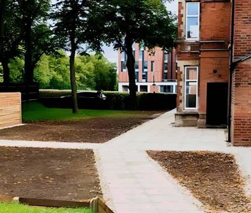 Standard Studio - Photo 2