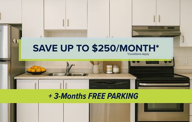 260 1/2 Dalhousie Street, Byward Market, Ottawa, ON - Photo 1