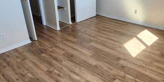 1 CH - 1 SDB - Gatineau - $1,335 /mo - Photo 3