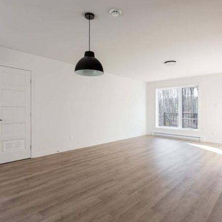 NOUVEL APPARTEMENT 4½ DISPONIBLE MAINTENANT - Photo 4