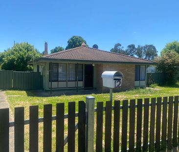 Newly renovated sun filled three-bedroom house - Photo 3