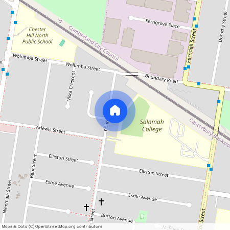 71 Priam Street, NSW 2162, Chester Hill