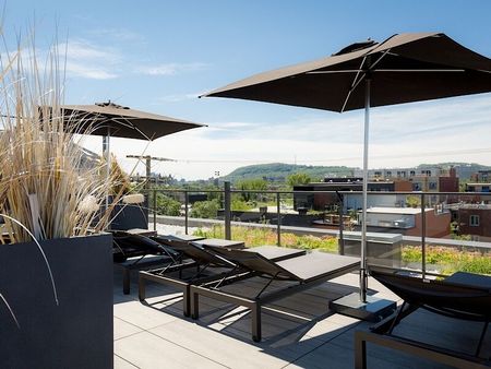 1295 des Carrières street, Montréal, QC - Photo 3