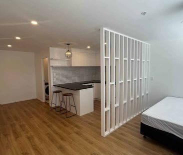Renovated Studio Apartment - Photo 1