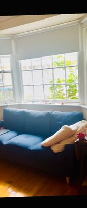 3-bedroom shared apartment/unit, Princes Road - Photo 1