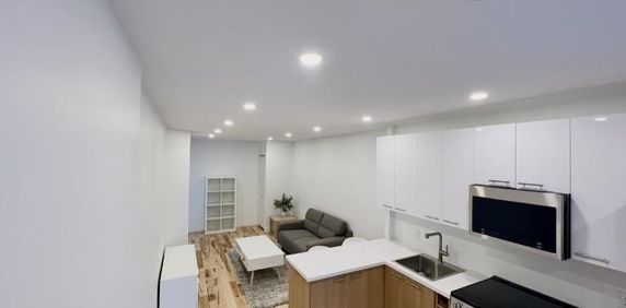 3 1/2 - Montréal (Hochelaga / Maisonneuve) - 1 350 $/mois - Photo 2