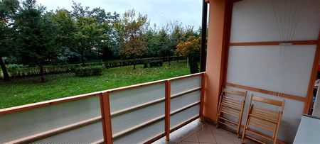 Mieszkanie Elblag wynajem - Zdjęcie 2