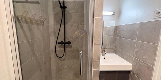 Location Appartement 1 pièce 16m² TOURS 37000 - Photo 3