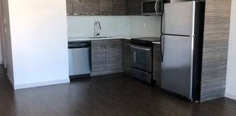 New large 2 bedroom Apt., Downtown/Yaletown - Photo 2