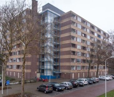 Fluitekruidweg 0ong, 1508 Zaandam, Nederland - Photo 2