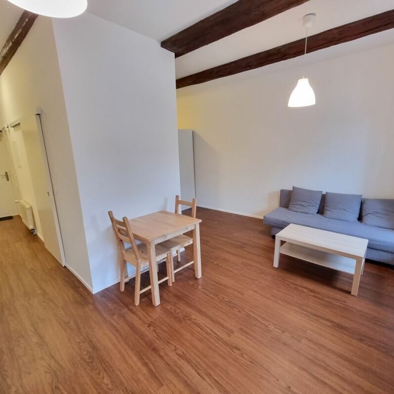 Petit mais agréable, en plein bord de Rhin ! - Photo 1