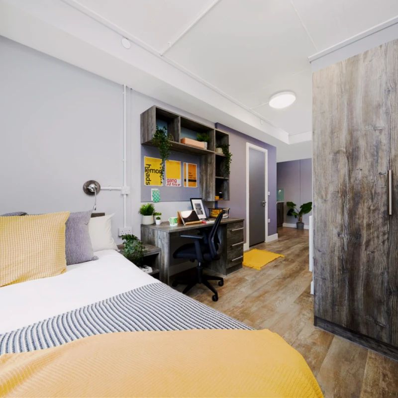 Large Studio Plus - Photo 1