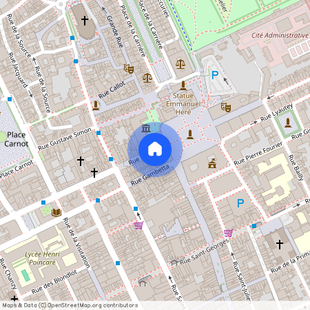 7 RUE STANISLAS, Pepiniere Vieille Ville, Nancy