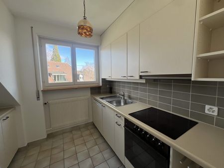 3 Zimmer, 80 m², 2. Stock - Foto 2