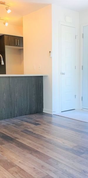 Condo Lumineux Une Chambre, Aylmer - Photo 1