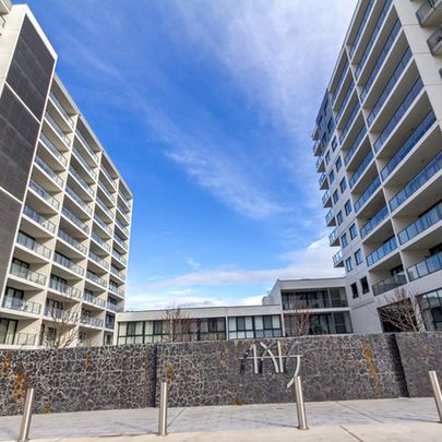 291/1 Mouat Street, Lyneham ACT 2602 - Apartment For Rent | Domain - Photo 1