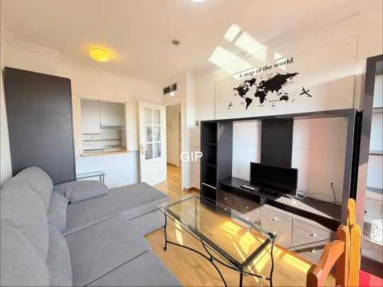 Apartamento de alquiler en Calle de Deyanira, 59, Rejas - Photo 1