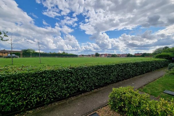 Primrose Close - Photo 1