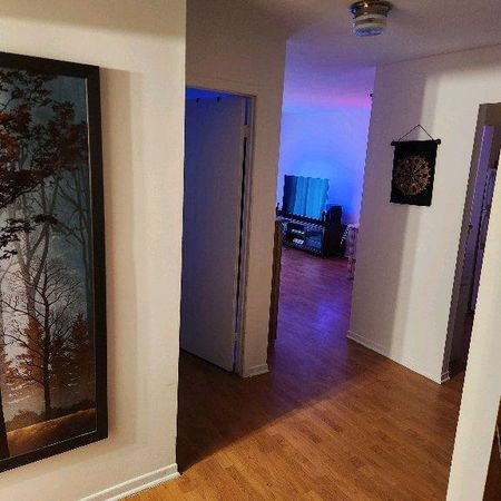 logement à louer 3 1/2 - Photo 4