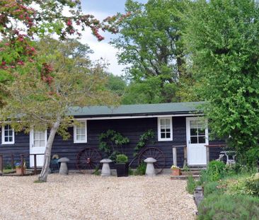 1 bedroom detached bungalow to rent - Photo 4
