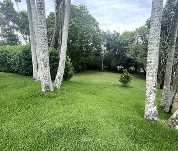 198 Daisy Hill Road, Daisy Hill, QLD - Photo 3