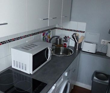 Location Appartement 1 pièce 17m² - Photo 6