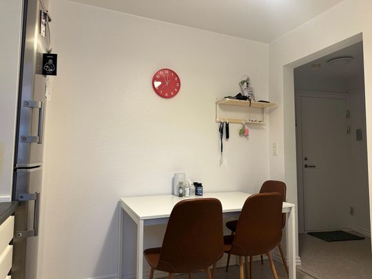 STUDIEVENLIG LEJLIGHED I VEJGAARD<br> - Foto 1