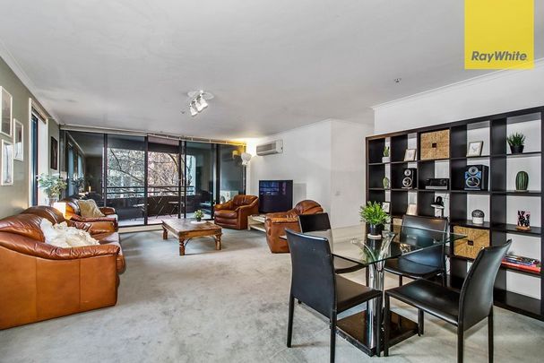 Wonderful Apartment Living on the City's Edge - Photo 1