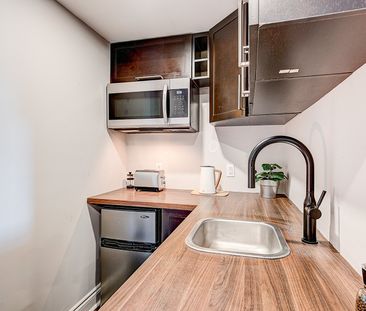 Condo à louer, Montréal (Ville-Marie) - Photo 2