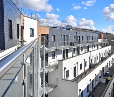 1 Bed Flat, Cuthbert Bank Road, S6 - Photo 5