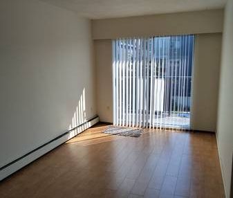 NEAR DOWNTOWN - TOP FLOOR , RENOVATED 1 BR SUITE - Photo 1