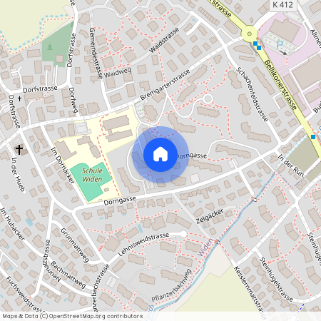 Dorngasse 41, 8967 Widen, Lageplan