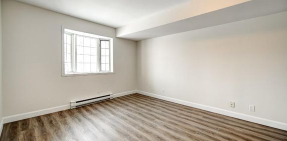 Appartement 3 ½ à louer Sainte-Foy / Sillery janvier 2026 - Photo 2