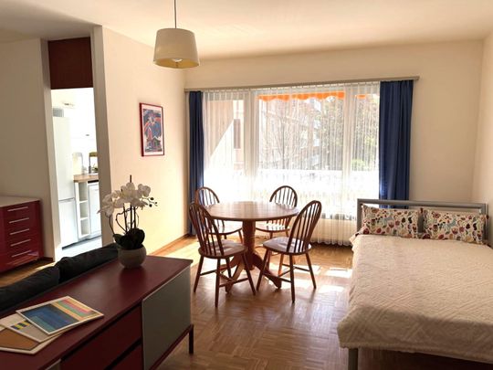 1.5 Zimmer, 50 m², 1. Stock - Foto 1