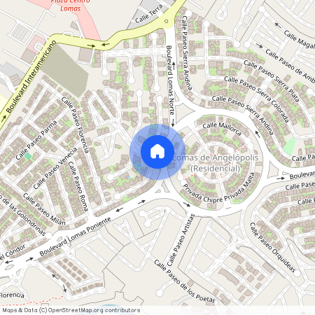 Boulevard de los Lagos, 4 4 4, Lomas de Angelópolis, Lomas I, San Andrés Cholula, Puebla, 72830, México, Pueblo De San Bernardino Tlaxcalancingo