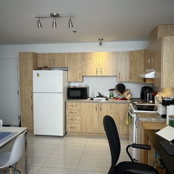 4 1/2 Avec Ou Sans électros Inclus - Photo 1