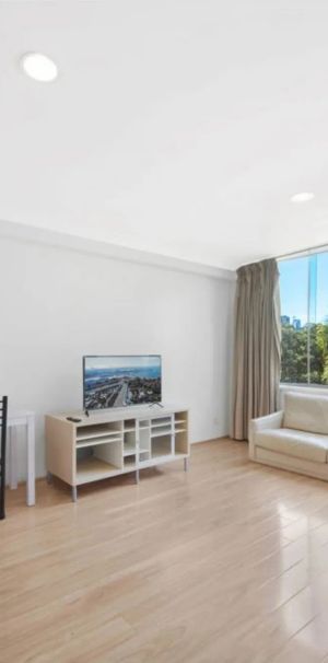 Fully Furnished One Bedroom Apartment with Oversized Modern Interior - Photo 1