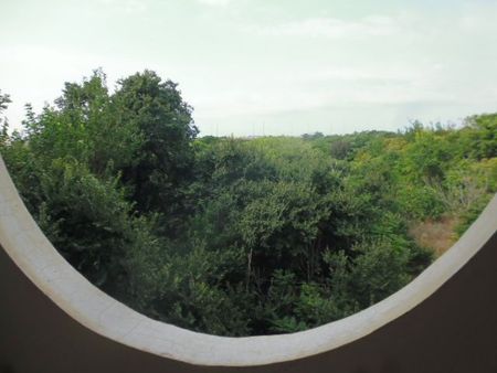 Studio/Γκαρσονιέρα για ενοικίαση Λαχανόκηποι (Βαρδάρης - Λαχανόκηποι) - Photo 3