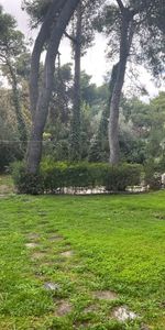 Μονοκατοικία για ενοικίαση Κηφισιά - Φωτογραφία 4