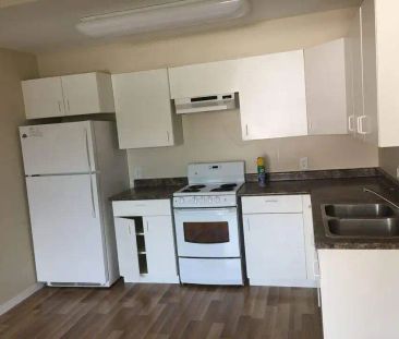 Isabel Street — 2 Bedroom - Photo 3