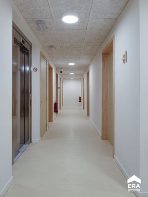 Studentenkamer (gemeubeld) te huur in Hasselt centrum - Photo 1